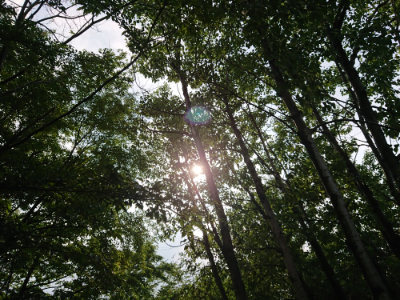 f:id:roukenhome-ann:20190724103803j:plain f:id:roukenhome-ann:20190724103803j:plain