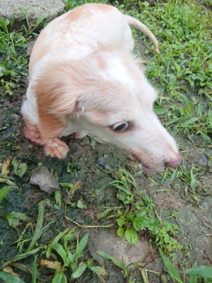 f:id:roukenhome-ann:20190724103809j:plain f:id:roukenhome-ann:20190724103809j:plain