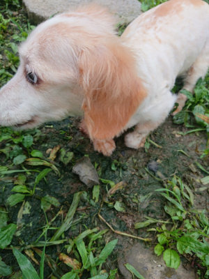 f:id:roukenhome-ann:20190724103814j:plain f:id:roukenhome-ann:20190724103814j:plain