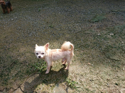 f:id:roukenhome-ann:20190724120854j:plain f:id:roukenhome-ann:20190724120854j:plain