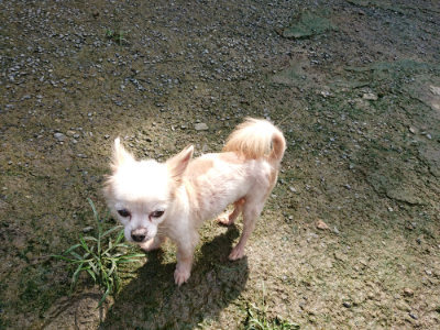 f:id:roukenhome-ann:20190724120900j:plain f:id:roukenhome-ann:20190724120900j:plain