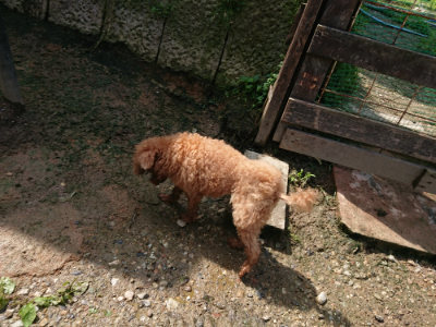 f:id:roukenhome-ann:20190724120919j:plain f:id:roukenhome-ann:20190724120919j:plain