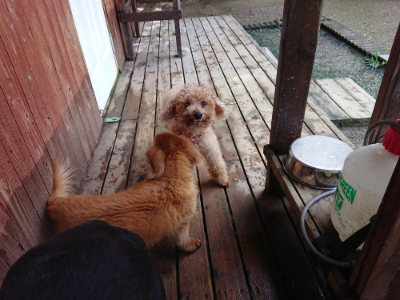 f:id:roukenhome-ann:20190724120933j:plain f:id:roukenhome-ann:20190724120933j:plain