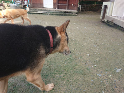 f:id:roukenhome-ann:20190724120944j:plain f:id:roukenhome-ann:20190724120944j:plain
