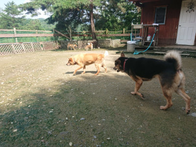 f:id:roukenhome-ann:20190724121002j:plain f:id:roukenhome-ann:20190724121002j:plain