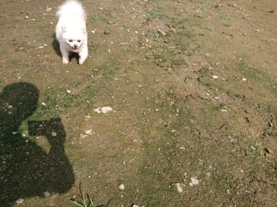 f:id:roukenhome-ann:20190724121007j:plain f:id:roukenhome-ann:20190724121007j:plain
