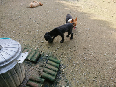 f:id:roukenhome-ann:20190724121012j:plain f:id:roukenhome-ann:20190724121012j:plain