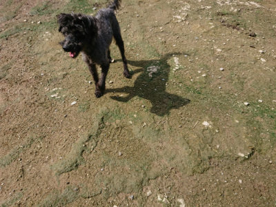 f:id:roukenhome-ann:20190724121047j:plain f:id:roukenhome-ann:20190724121047j:plain