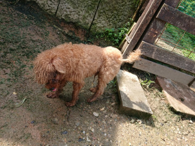 f:id:roukenhome-ann:20190724121104j:plain f:id:roukenhome-ann:20190724121104j:plain
