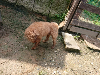 f:id:roukenhome-ann:20190724121124j:plain f:id:roukenhome-ann:20190724121124j:plain