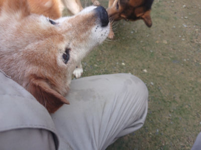 f:id:roukenhome-ann:20190724121128j:plain f:id:roukenhome-ann:20190724121128j:plain
