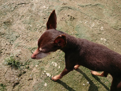 f:id:roukenhome-ann:20190724121133j:plain f:id:roukenhome-ann:20190724121133j:plain