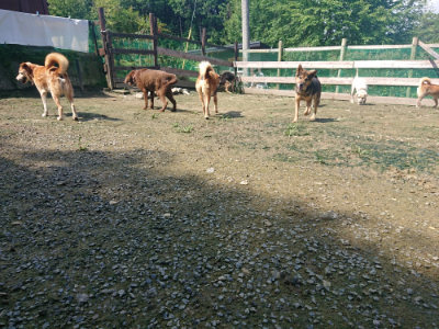 f:id:roukenhome-ann:20190724121144j:plain f:id:roukenhome-ann:20190724121144j:plain