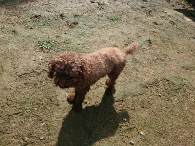 f:id:roukenhome-ann:20190724121210j:plain f:id:roukenhome-ann:20190724121210j:plain