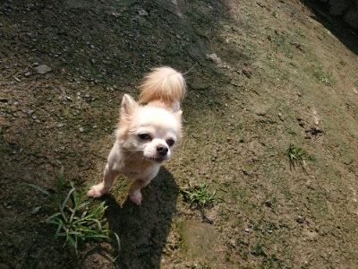 f:id:roukenhome-ann:20190724121230j:plain f:id:roukenhome-ann:20190724121230j:plain