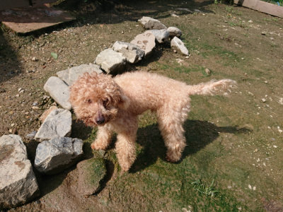 f:id:roukenhome-ann:20190724121240j:plain f:id:roukenhome-ann:20190724121240j:plain