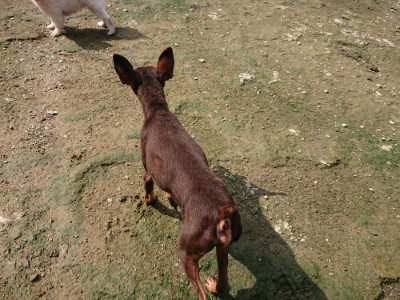 f:id:roukenhome-ann:20190724121303j:plain f:id:roukenhome-ann:20190724121303j:plain