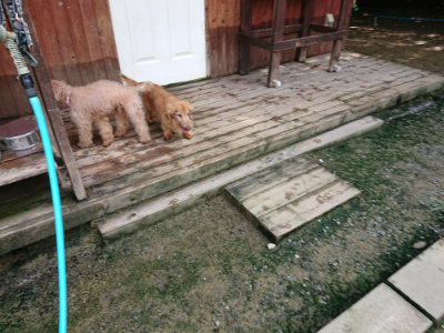 f:id:roukenhome-ann:20190724121308j:plain f:id:roukenhome-ann:20190724121308j:plain