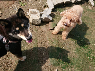 f:id:roukenhome-ann:20190724121316j:plain f:id:roukenhome-ann:20190724121316j:plain