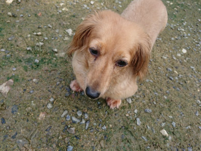 f:id:roukenhome-ann:20190724121331j:plain f:id:roukenhome-ann:20190724121331j:plain