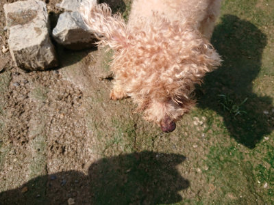 f:id:roukenhome-ann:20190724121342j:plain f:id:roukenhome-ann:20190724121342j:plain