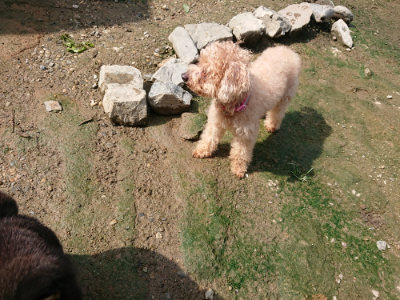 f:id:roukenhome-ann:20190724121348j:plain f:id:roukenhome-ann:20190724121348j:plain