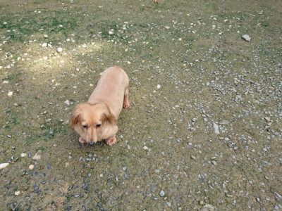 f:id:roukenhome-ann:20190724121359j:plain f:id:roukenhome-ann:20190724121359j:plain