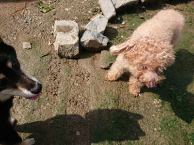 f:id:roukenhome-ann:20190724121404j:plain f:id:roukenhome-ann:20190724121404j:plain