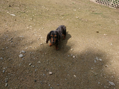f:id:roukenhome-ann:20190724121735j:plain f:id:roukenhome-ann:20190724121735j:plain