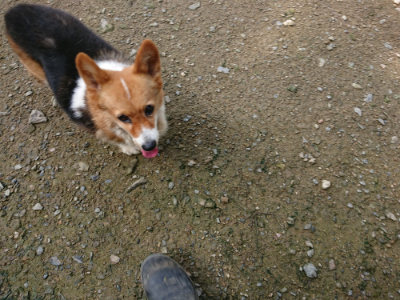 f:id:roukenhome-ann:20190724121747j:plain f:id:roukenhome-ann:20190724121747j:plain