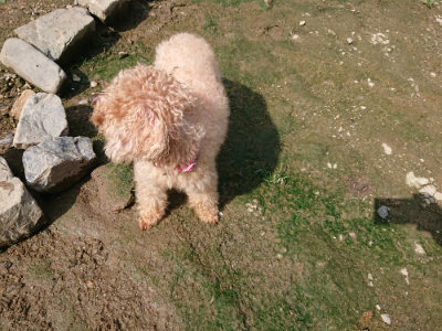 f:id:roukenhome-ann:20190724121759j:plain f:id:roukenhome-ann:20190724121759j:plain