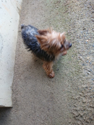 f:id:roukenhome-ann:20190724121808j:plain f:id:roukenhome-ann:20190724121808j:plain