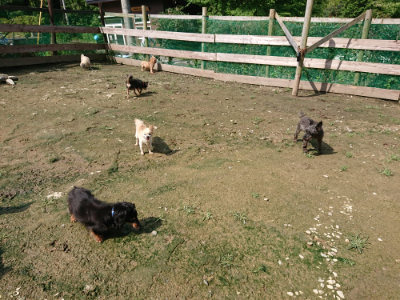 f:id:roukenhome-ann:20190724121812j:plain f:id:roukenhome-ann:20190724121812j:plain