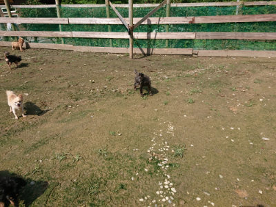 f:id:roukenhome-ann:20190724121818j:plain f:id:roukenhome-ann:20190724121818j:plain