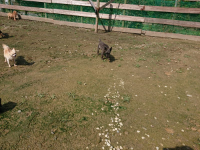 f:id:roukenhome-ann:20190724121837j:plain f:id:roukenhome-ann:20190724121837j:plain