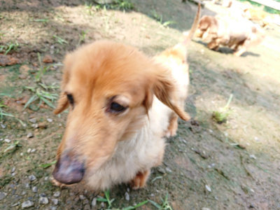 f:id:roukenhome-ann:20190724121848j:plain f:id:roukenhome-ann:20190724121848j:plain