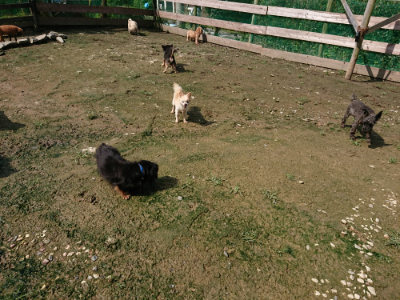 f:id:roukenhome-ann:20190724121902j:plain f:id:roukenhome-ann:20190724121902j:plain