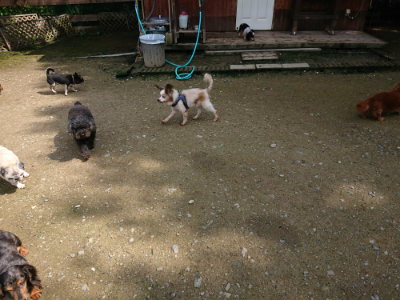 f:id:roukenhome-ann:20190724121909j:plain f:id:roukenhome-ann:20190724121909j:plain