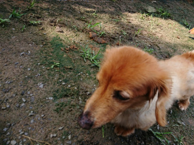 f:id:roukenhome-ann:20190724121915j:plain f:id:roukenhome-ann:20190724121915j:plain