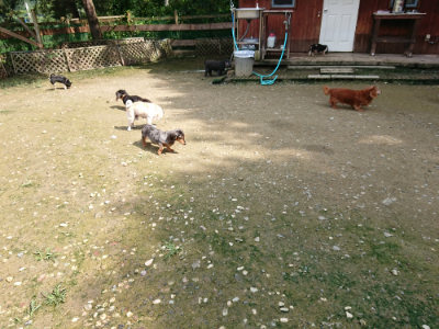 f:id:roukenhome-ann:20190724121946j:plain f:id:roukenhome-ann:20190724121946j:plain