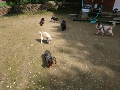f:id:roukenhome-ann:20190724121951j:plain f:id:roukenhome-ann:20190724121951j:plain
