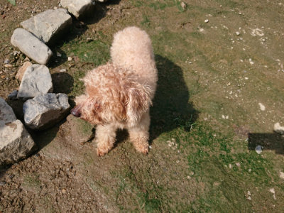 f:id:roukenhome-ann:20190724121956j:plain f:id:roukenhome-ann:20190724121956j:plain
