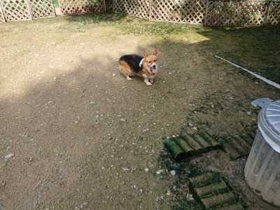 f:id:roukenhome-ann:20190724122007j:plain f:id:roukenhome-ann:20190724122007j:plain