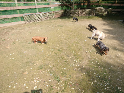 f:id:roukenhome-ann:20190724122012j:plain f:id:roukenhome-ann:20190724122012j:plain