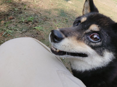 f:id:roukenhome-ann:20190724122045j:plain f:id:roukenhome-ann:20190724122045j:plain