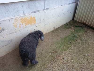 f:id:roukenhome-ann:20190724122052j:plain f:id:roukenhome-ann:20190724122052j:plain