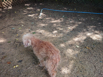 f:id:roukenhome-ann:20190724122102j:plain f:id:roukenhome-ann:20190724122102j:plain