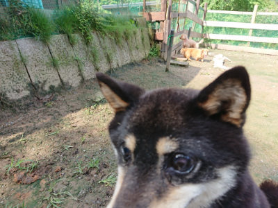 f:id:roukenhome-ann:20190724122144j:plain f:id:roukenhome-ann:20190724122144j:plain