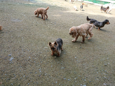 f:id:roukenhome-ann:20190724122205j:plain f:id:roukenhome-ann:20190724122205j:plain