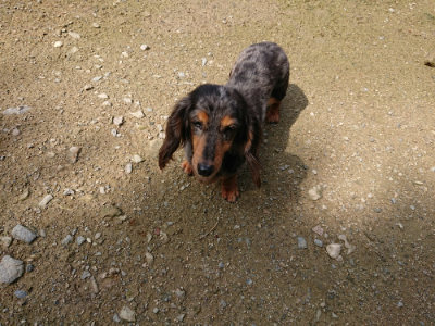 f:id:roukenhome-ann:20190724122229j:plain f:id:roukenhome-ann:20190724122229j:plain
